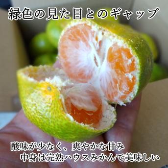 【バラ詰め】さっぱりとした甘さ！グリーンハウスみかん「蜜ツ星（みつぼし）」　お試し品　約２ｋｇ【商品番号36】 2kg 果物/温州みかん通販