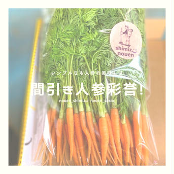 春🌸間引き人参🥕彩誉✨2キロ📦2025 2kg(送料別) 野菜/人参通販