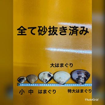 伊勢海老大1キロ（2〜3匹）中はまぐり1キロ（20〜30個） 伊勢海老大1キロ 中はまぐり1キロ 魚介類/魚介セット・詰め合わせ通販
