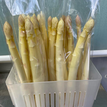 訳あり ホワイトアスパラガス 1Kg ｜ 野菜/アスパラガス 産直アウル