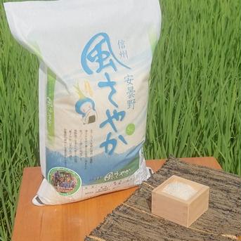 令和6年産安曇野産風さやか 特別栽培米 白米 5㎏ 5㎏ 米・穀物/米/精米通販