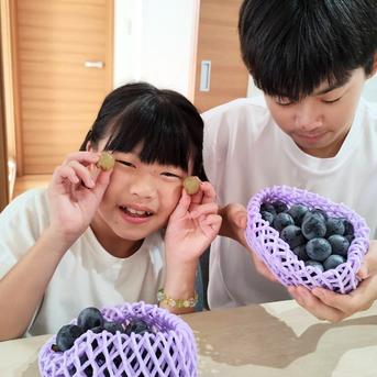 大特価】食べ比べセット 約1.2kg（サンシャインレッド1房＋シャイン