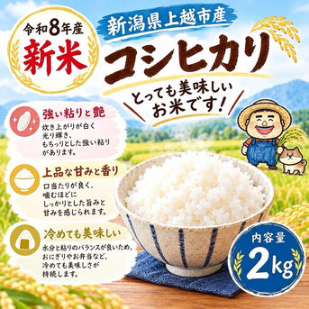 令和8年産 新米コシヒカリ2キロ ｜ 米・穀物/米/精米 産直アウル 農家