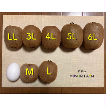 和歌山県産 キウイフルーツセット(家庭用、秀品) 秀品2kg、家庭用5kg 果物/キウイフルーツ通販