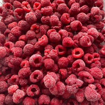 秋田県産冷凍ラズベリー1kg ｜ 果物/ベリー類 産直アウル 農家・漁師