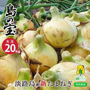 らな　B品大玉20キロ 1日10名様限定特別価格 【 大玉 20kg 】 新たまねぎ 淡路島産 4月17日