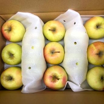 小玉)ぐんま名月 | 果物/りんご 産直アウル 農家から直接野菜などの