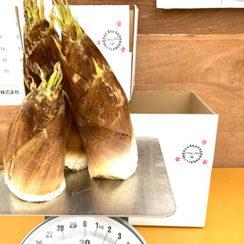 naoyuka畑のたけのこ♪掘りたてしか発送しません。 2キロ 野菜/たけのこ通販