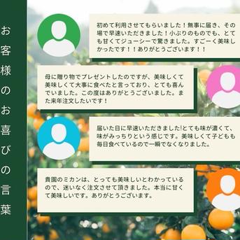 とろけるゼリー食感】「段畑まどんな」ご家庭用 4キロ×2箱 ｜ 果物