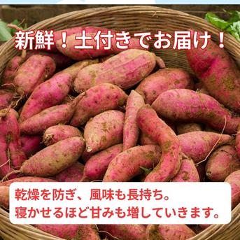お得な訳あり！さつまいも10kg 熟成紅はるか （土付き） ｜ 野菜