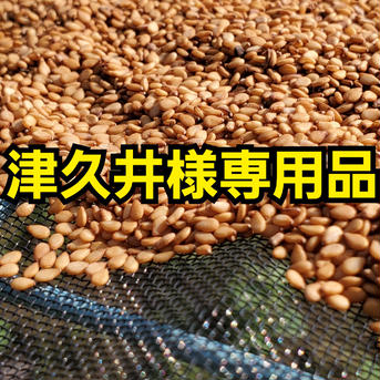 津久井様専用品　洗い金ごま 1.5kg 野菜/ゴマ通販