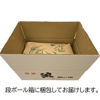 白米】コシヒカリ 20Kg 送料無料 令和7年 長野県産 新米 ｜ 米・穀物 