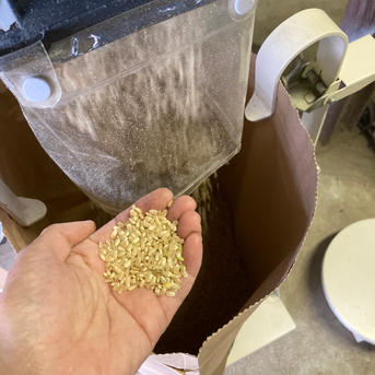 愛媛県産 にこまる 玄米 20kg 愛媛県西条産 にこまる 玄米 5キロ ｜ 米・穀物/玄米 産直アウル 農家