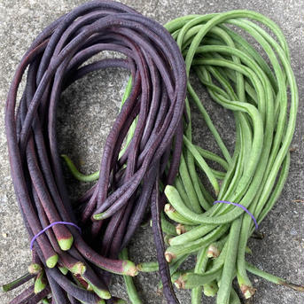 秋新物十六ささげ赤緑ミックス1kg 1kg 野菜/豆類通販