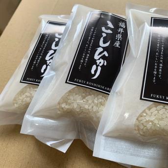 福井県産こしひかり１合パック×１０ 150ｇ（約１合）×１０ 米・穀物/米/精米通販