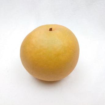 新潟生まれの贅沢果実 新王 約3kg 約3kg(5〜11個入り) 果物/梨通販