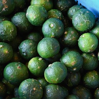 美味しさそのまま】訳あり青ゆず10kg 愛媛県産 青柚子 BLUE YUZU