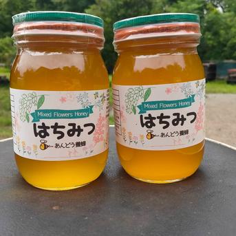 【添加物なし】天然はちみつ 600g×2瓶 蜂蜜 ハチミツ セイヨウミツバチ 国産 600g×2瓶 はちみつ/はちみつ通販
