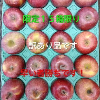Tom☆サンふじ 10kg 訳あり品】サンふじ10キロお買い得 40〜46玉 | 果物/りんご 産直アウル