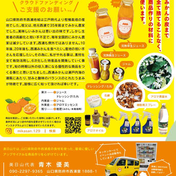 ははちゃん様海南市下津町産 宮川早生みかん 2S、3S混合 4.5キロ×10箱