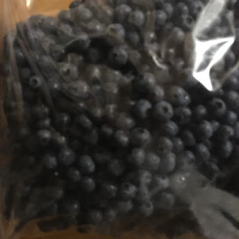 ちょっびりお得！加工用ブルーベリー1kg 1.0kg 果物/ベリー類通販