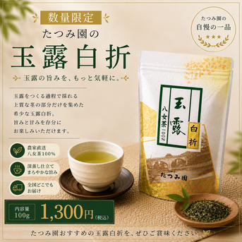 新茶】 数量限定｜玉露の旨みを、もっと気軽に ｜ お茶/その他のお茶