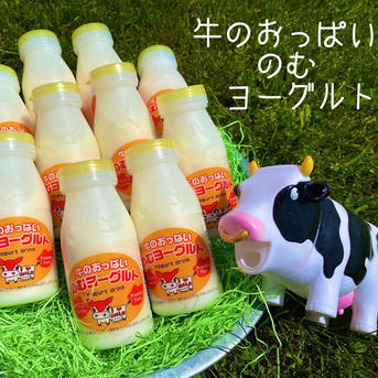 牛のおっぱいミルク10本、コーヒーミルク10本、のむヨーグルト10本、チョコミルク5本セット 牛乳、コーヒー、チョコ　200㎖  ヨーグルト150㎖ 加工品/加工品セット・詰め合わせ通販