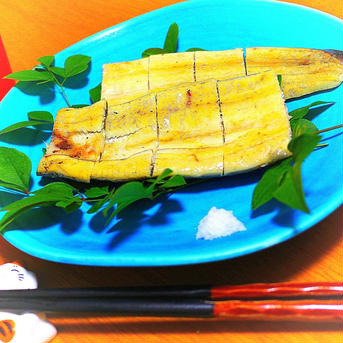【訳あり】高知県産鰻小ぶり500ｇ以上　白焼き91～99ｇ×5匹有頭　蒲焼きのタレ5袋付　おまけ70～90ｇ1尾付き エコ包装 鰻の白焼き91～99ｇ×5匹有頭　蒲焼きのタレ5袋付　おまけ70～90ｇ1尾 魚介類/魚介の加工品通販