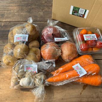 野菜カレーセット1.8kg☆有機JAS認証☆ 野菜カレーセット 野菜/野菜セット・詰め合わせ通販