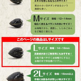 【送料無料】冷凍しじみLサイズ3.6ｋｇ（900ｇ×４）（砂抜き済み） チャック付きパック入り 宍道湖産大和しじみ【北海道・沖縄へ発送不可】 宍道湖産大和しじみLサイズ900ｇ×4【砂抜き済み】 魚介類/しじみ通販
