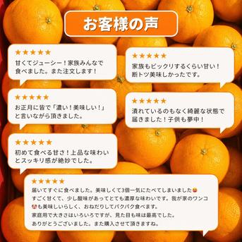 ニコマルみかん 家庭用 10kg ｜ 果物/温州みかん 産直アウル 農家