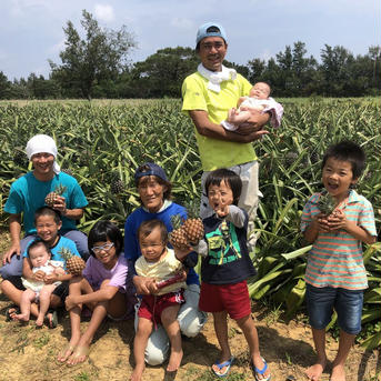 ますみ農園 桃の香りのピーチパイン2キロ 2kg（2〜3玉） 果物/パイナップル通販