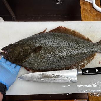 食通好みの逸品】長州床波の極み肴『極み赤ナマコ』酒蔵納得仕立て澄ん