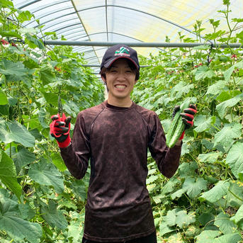 送料割引中❗️【たまの農園の自信作】新鮮きゅうり！ 5kg箱（30本前後） 野菜/きゅうり通販