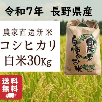 白米】コシヒカリ 30Kg 送料無料 令和7年 長野県産 新米 ｜ 米・穀物 