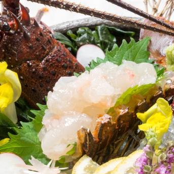 訳あり　千葉県産　活伊勢海老　200-250g×4匹 200-250g×4匹 魚介類/エビ通販