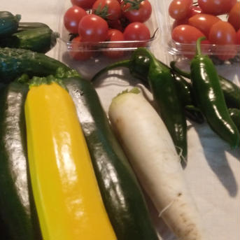 【チョイセット】北海道の高級野菜　トマトや色々な5種類以上 約2ｋｇ 野菜/野菜セット・詰め合わせ通販