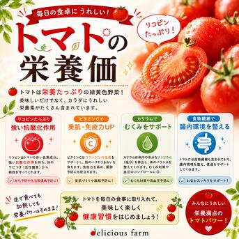 ミニトマト 品種おまかせ 2キロ箱詰 ｜ 野菜/トマト 産直アウル 農家