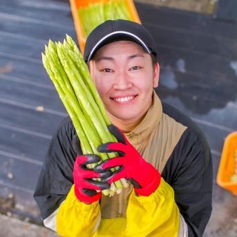 🎊送料無料🎊【2L】3kg   おおもりやアスパラ　👑食べ応え最強サイズ👑 3kg 野菜/アスパラガス通販