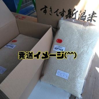 特別栽培米新潟県産コシヒカリ5k 5kg 米・穀物/米/精米通販