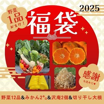 福袋】採りたて野菜＆果物♥感謝を込めて ｜ 野菜/野菜セット 