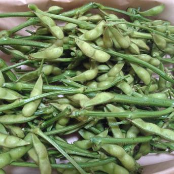 京野菜　枝付き枝豆入荷です Amazon | 京都産 京夏ずきん 丹波黒大豆枝豆 5袋 200g/1袋 | 京