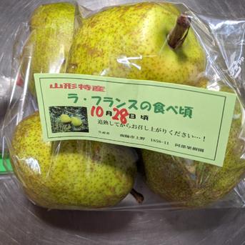 柿とラ・フランス約5.3kg 約5.3kg 果物/果物セット・詰め合わせ通販
