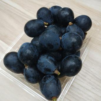 ナガノパープル粒パック1kg ｜ 果物/ぶどう 産直アウル 農家・漁師