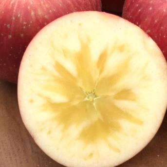 【5周年限定】🍎果汁溢れるジューシー林檎🍎わずか3%希少なシナノスイート～品種指定探しキャンペーンお得な大容量パッケージ～🍎冬ギフト🍎 シナノスイート10個～12個 果物/りんご通販