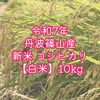 白米】令和7年丹波篠山産コシヒカリ 10kg | 米・穀物/米/精米 産直