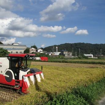 【令和6年度】有機JAS玄米１０㎏(５㎏×２個) コシヒカリ １０kg　５kg×２個 米・穀物/玄米通販