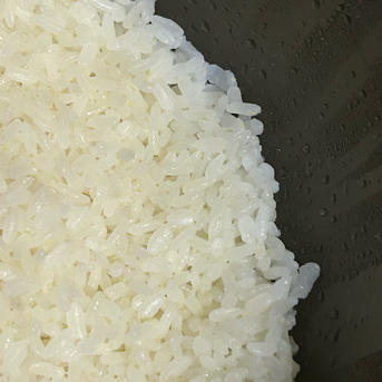 新米 採れたて ひとめぼれ 減農薬栽培 湧き水栽培 ｜ 米・穀物/玄米 
