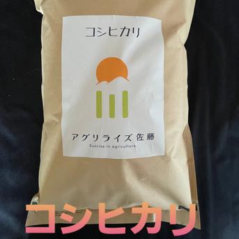 新米　令和5年長野県東御市産コシヒカリ　白米　5kg 5kg 米・穀物/米/精米通販