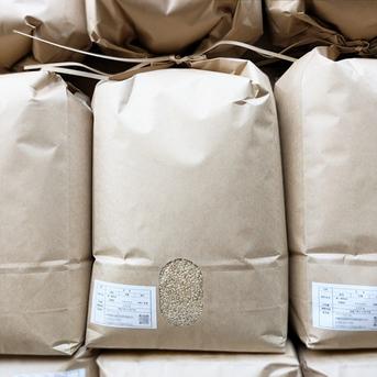 きぬひかり【玄米】 20kg 令和7年産 京都府京丹波町産 ｜ 米・穀物